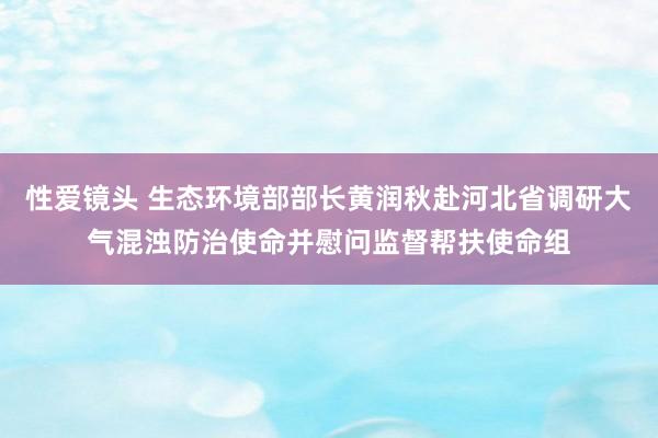 性爱镜头 生态环境部部长黄润秋赴河北省调研大气混浊防治使命并慰问监督帮扶使命组