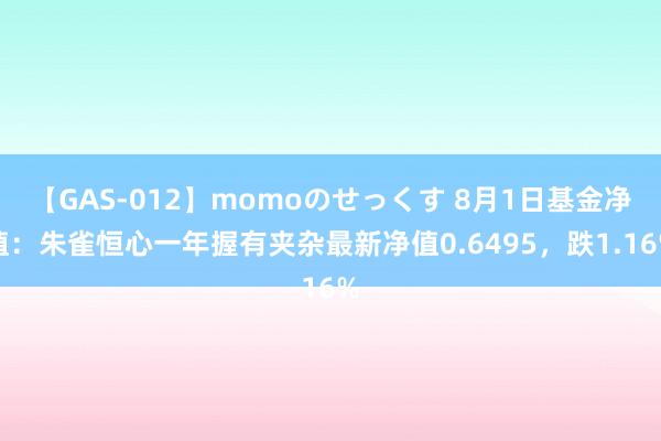 【GAS-012】momoのせっくす 8月1日基金净值：朱雀恒心一年握有夹杂最新净值0.6495，跌1.16%