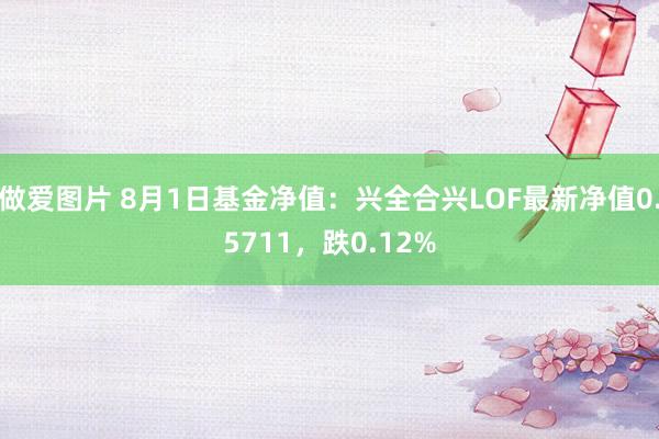 做爱图片 8月1日基金净值：兴全合兴LOF最新净值0.5711，跌0.12%