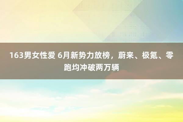 163男女性爱 6月新势力放榜，蔚来、极氪、零跑均冲破两万辆