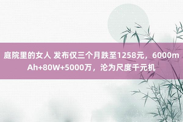 庭院里的女人 发布仅三个月跌至1258元，6000mAh+80W+5000万，沦为尺度千元机