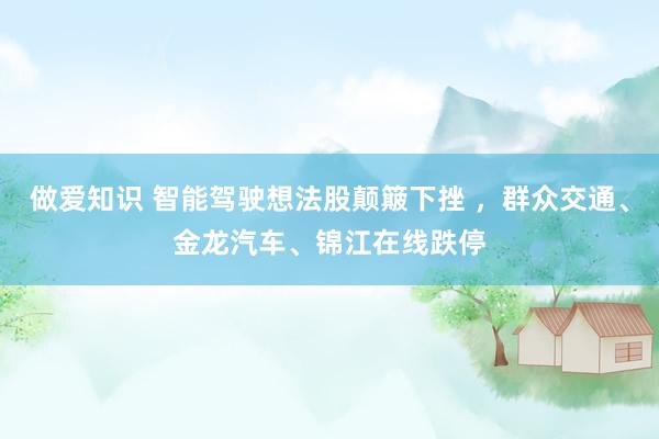 做爱知识 智能驾驶想法股颠簸下挫 ，群众交通、金龙汽车、锦江在线跌停