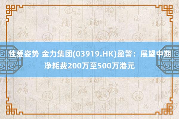 性爱姿势 金力集团(03919.HK)盈警：展望中期净耗费200万至500万港元