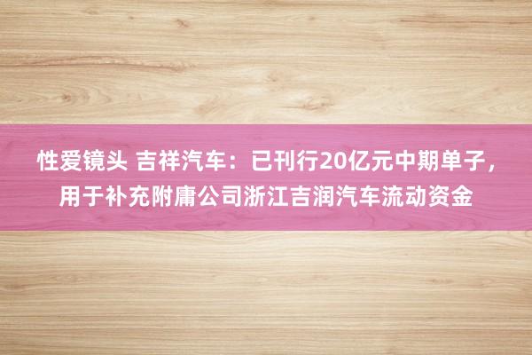 性爱镜头 吉祥汽车：已刊行20亿元中期单子，用于补充附庸公司浙江吉润汽车流动资金