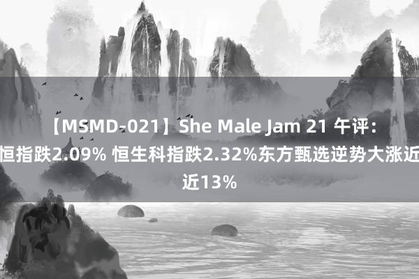 【MSMD-021】She Male Jam 21 午评：港股恒指跌2.09% 恒生科指跌2.32%东方甄选逆势大涨近13%