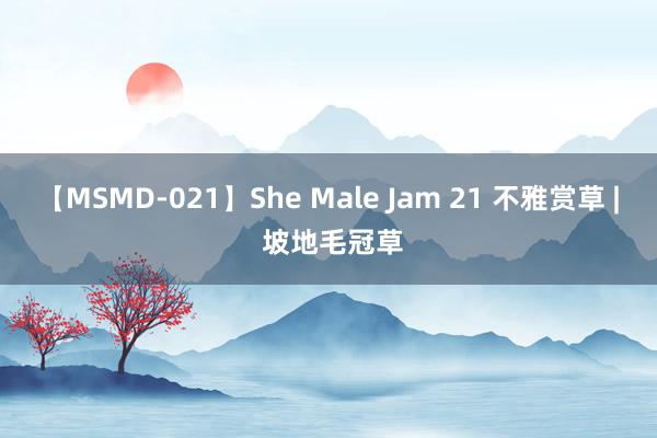 【MSMD-021】She Male Jam 21 不雅赏草 | 坡地毛冠草