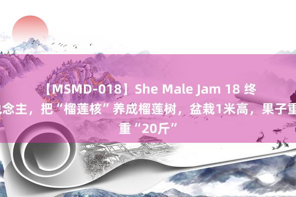 【MSMD-018】She Male Jam 18 终于有东说念主，把“榴莲核”养成榴莲树，盆栽1米高，果子重“20斤”