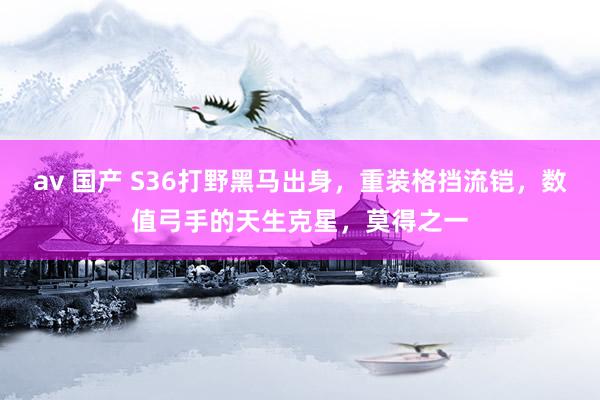 av 国产 S36打野黑马出身，重装格挡流铠，数值弓手的天生克星，莫得之一