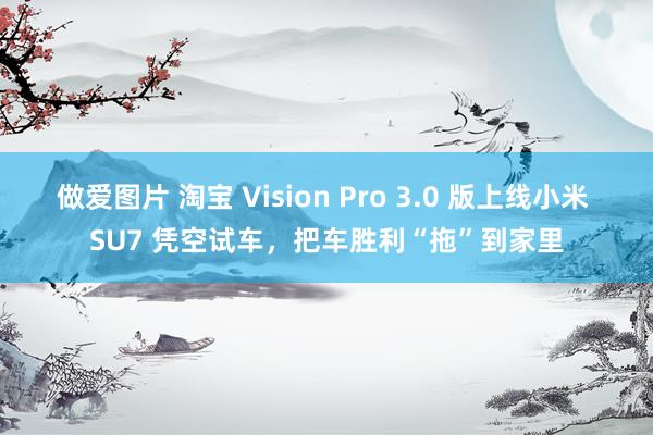 做爱图片 淘宝 Vision Pro 3.0 版上线小米 SU7 凭空试车，把车胜利“拖”到家里